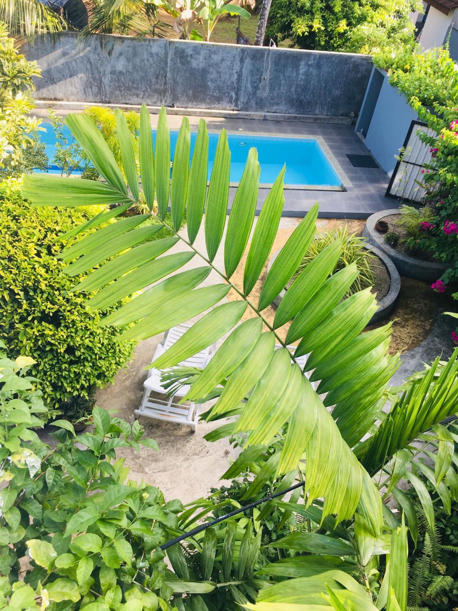 Om Villa Hikkaduwa Exterior photo